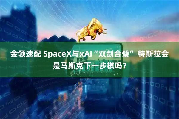 金领速配 SpaceX与xAI“双剑合璧” 特斯拉会是马斯克下一步棋吗？