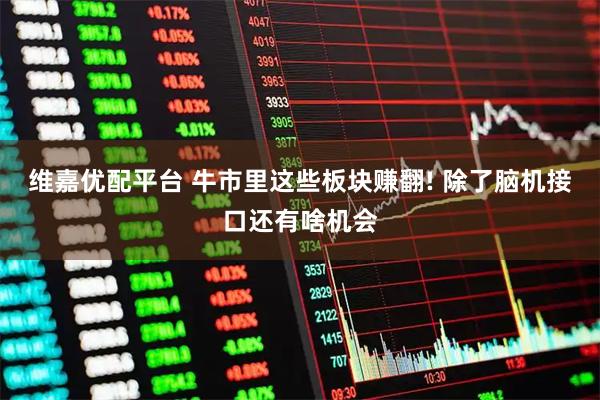 维嘉优配平台 牛市里这些板块赚翻! 除了脑机接口还有啥机会